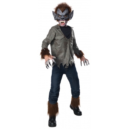 Kids Wolf Costume  image