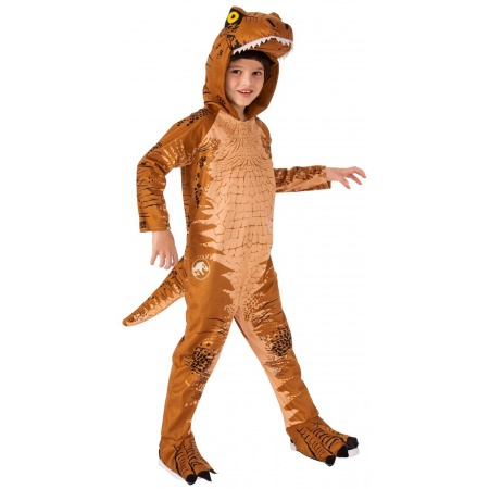 Kids Dinosaur Costume image