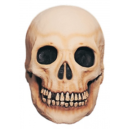 Skull Mask image