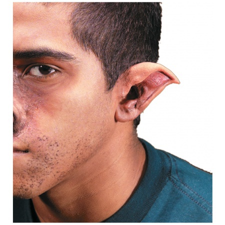 Prosthetic Pointy Ears image
