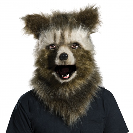 Rocket Raccoon Mask image