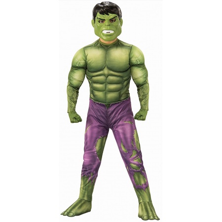 Incredible Hulk Costume image