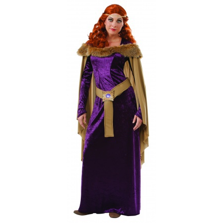 Medieval Maiden Costume image