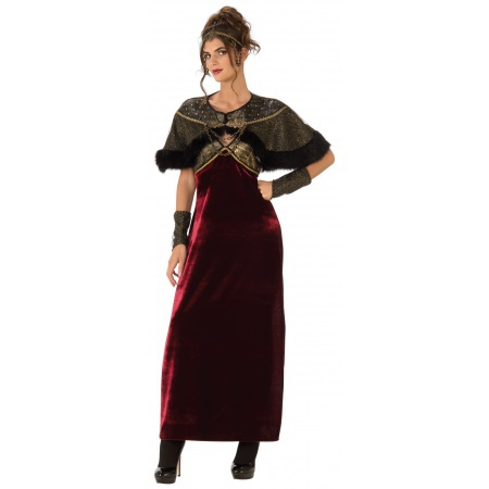Medieval Lady Costume image