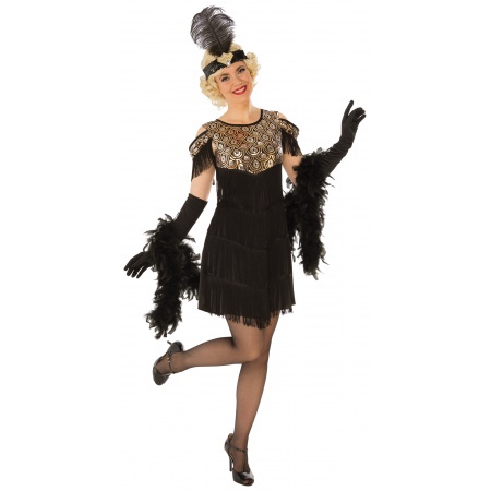 1920s Flapper Dress image