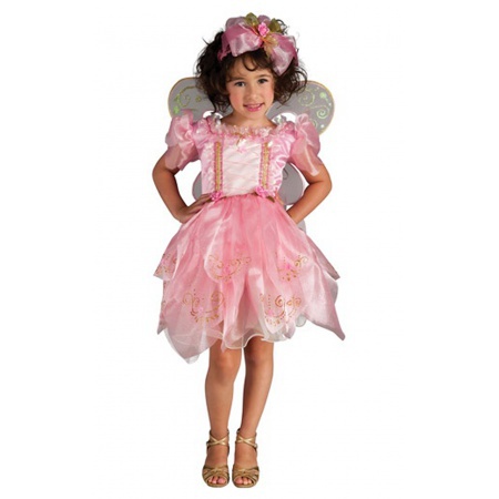 Fairy Princess Costume image