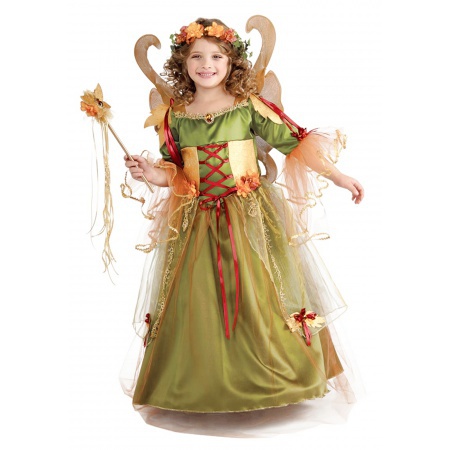 Forest Fairy Costume image