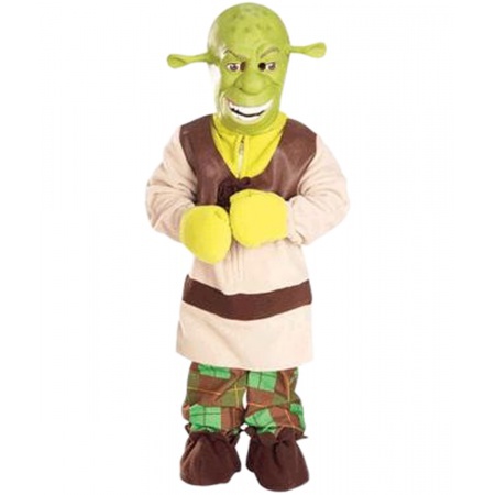 Boys Shrek Costume image