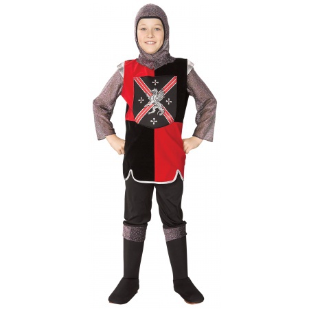 Kids Knight Costume image