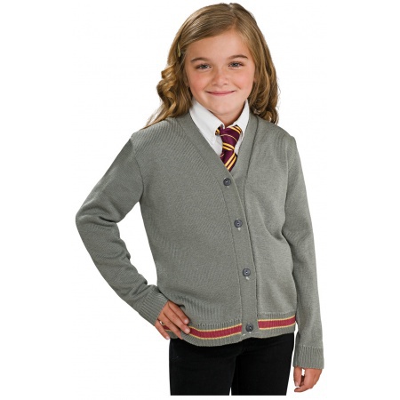 Hermione Granger Costume image