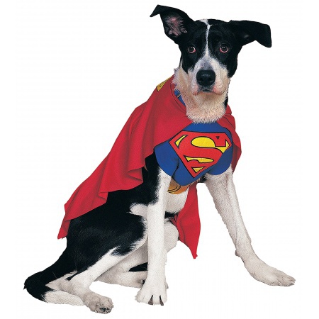 Dog Superhero Costume image