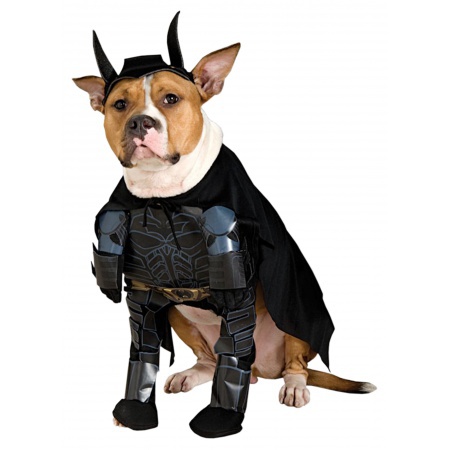 Dog Batman Costume  image