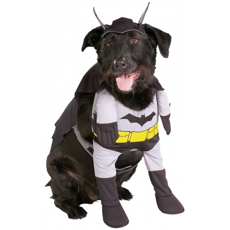 Batman Dog Pet Costume Doggy Superhero image