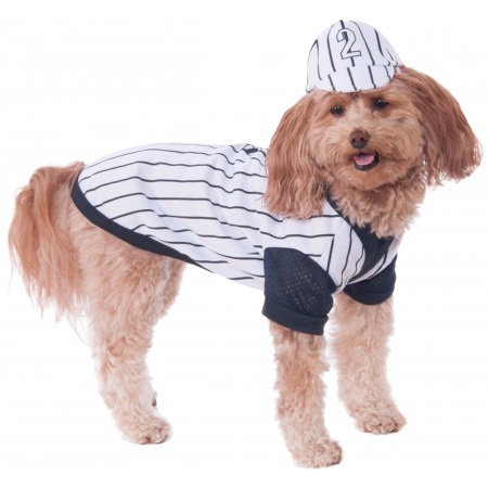 Baseball Dog Costume image