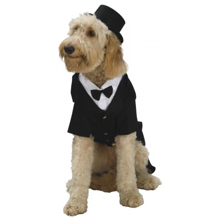 Dog Tuxedo Costume image