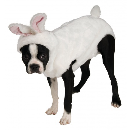 Dog Bunny Costume  image