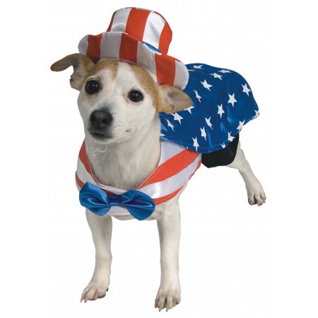 Uncle Sam Dog Costume image