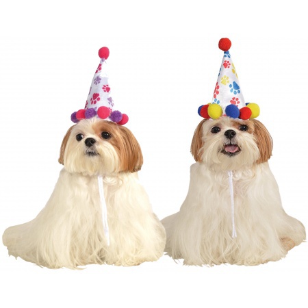 Dog Birthday Hat  image