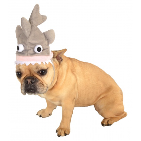 Dog Shark Hat  image