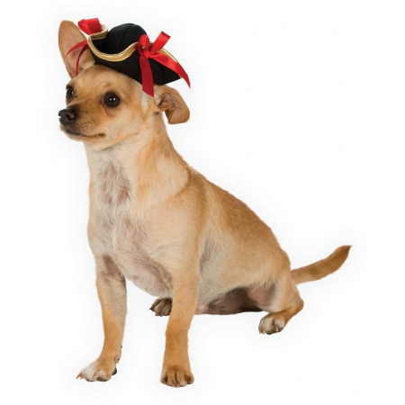 Dog Pirate Hat image