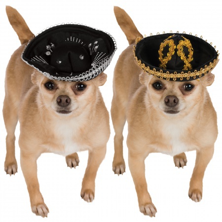 Dog Sombrero image