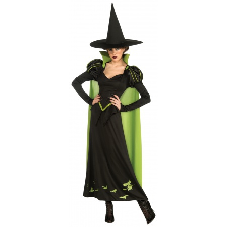 Wicked Witch Costume image