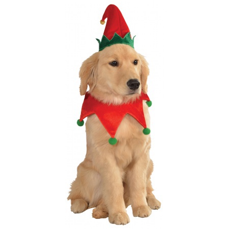 Elf Dog Costume image