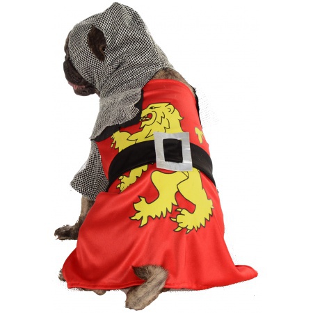 Dog Knight Costume image