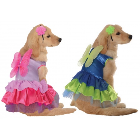 Fairy Dog Costume  image