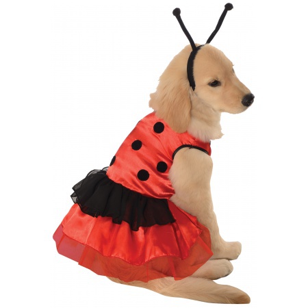 Ladybug Dog Costume image