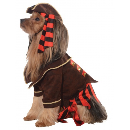 Dog Pirate Costume  image