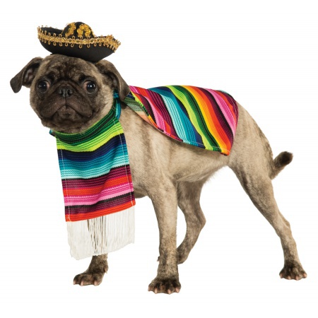 Dog Poncho And Sombrero image
