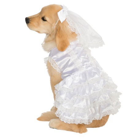 Dog Bride Costume image
