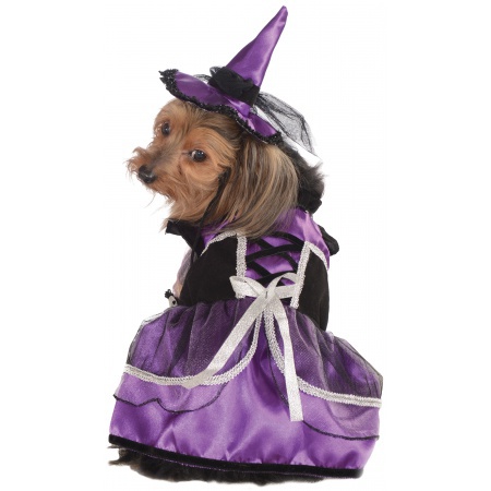 Witch Dog Costume image