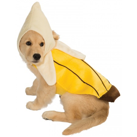 Banana Dog Costume image