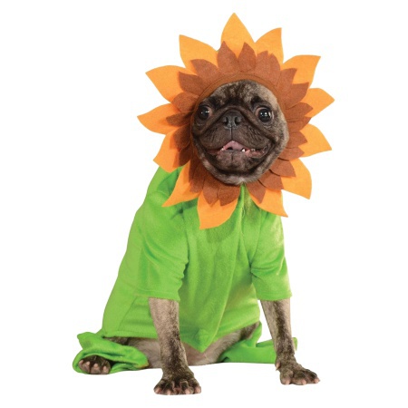 Sunflower Pet Costume image