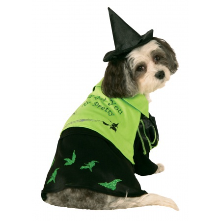 Witch Dog Halloween Costume image