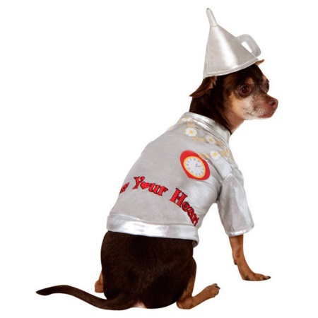 Tin Man Dog Costume  image