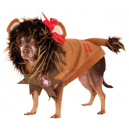 Dog Lion Costume image
