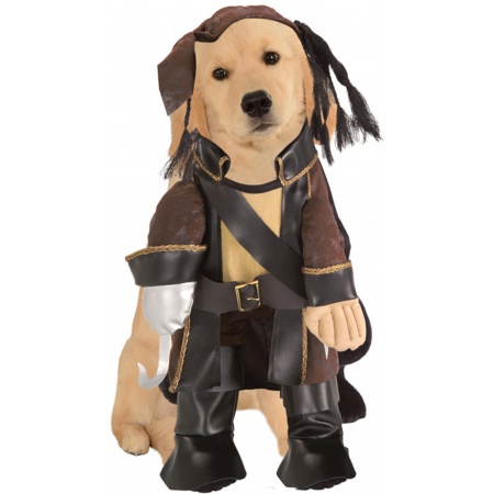 Pirate Dog Costume image