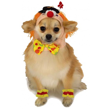 Dog Clown Costume image