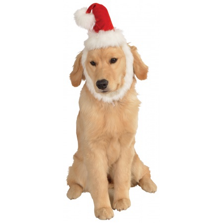 Dog Santa Hat image