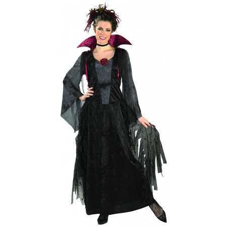 Female Vampire Costume image