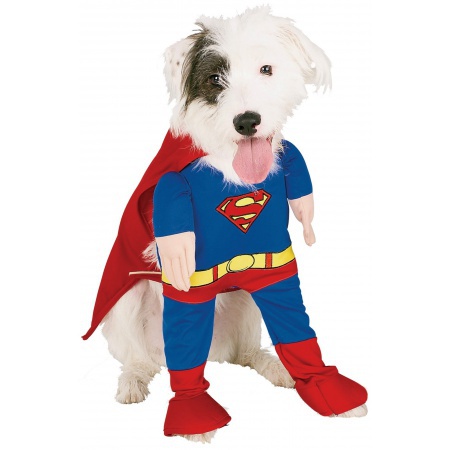 Superman Dog Costume image