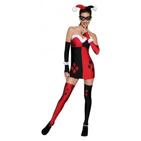 Womens Harley Quinn Costume image