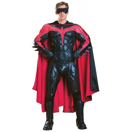 Adult Robin Costume image