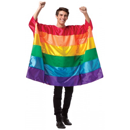Rainbow Flag Costume  image