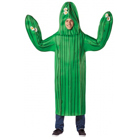 Adult Cactus Costume image
