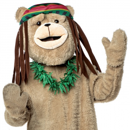 Ted Bear Costume image