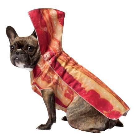 Dog Bacon Costume image